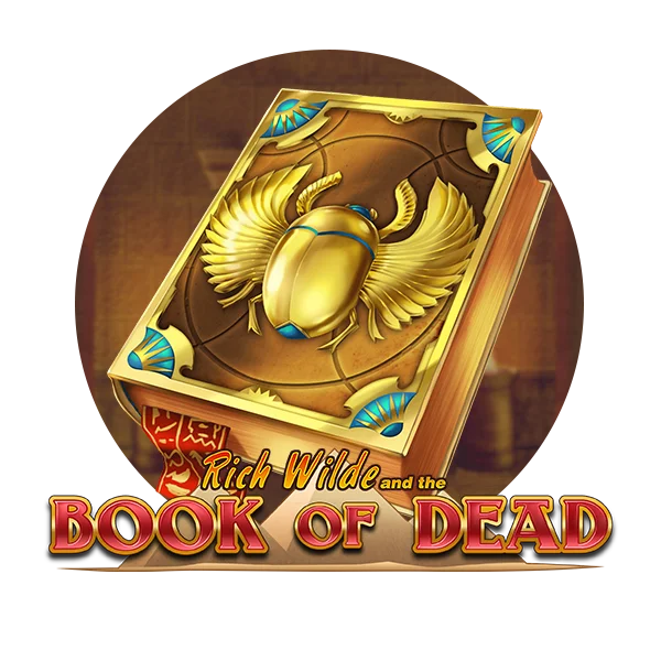 Book of Dead gain